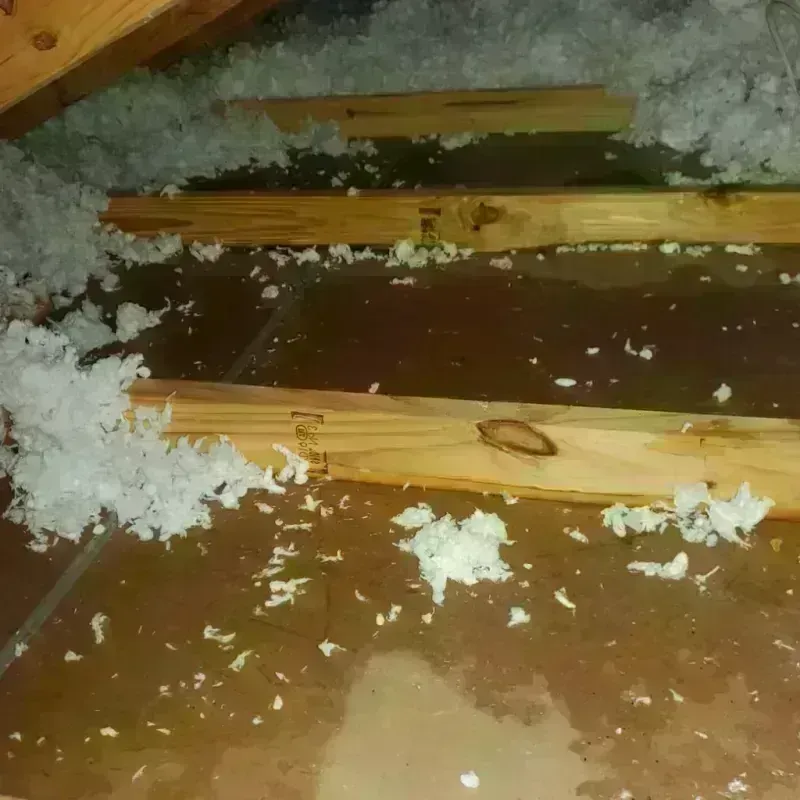 Attic Water Damage in New Bern, NC