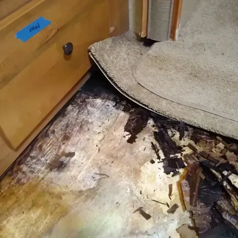 Wood Floor Water Damage in New Bern, NC